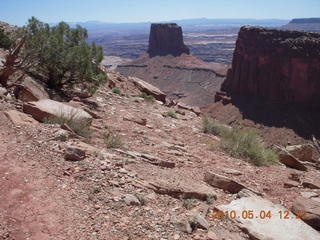 150 774. Canyonlands Lathrop Trail hike