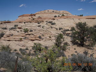 157 774. Canyonlands Lathrop Trail hike