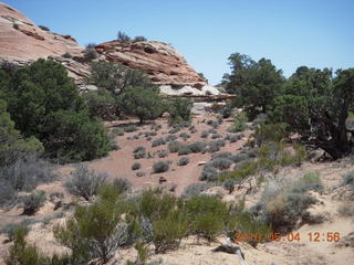 158 774. Canyonlands Lathrop Trail hike