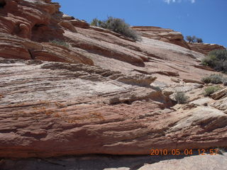 160 774. Canyonlands Lathrop Trail hike