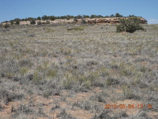 172 774. Canyonlands Lathrop Trail hike