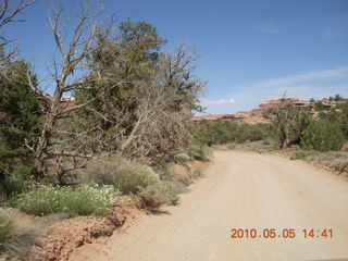 184 775. Canyonlands National Park Needles - dirt road