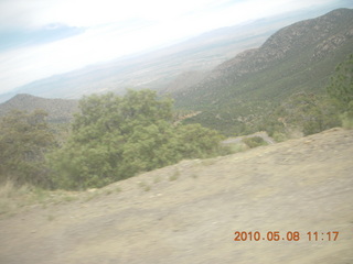 drive up Mt. Graham
