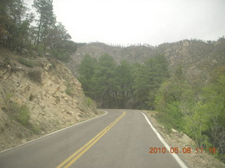 drive up Mt. Graham