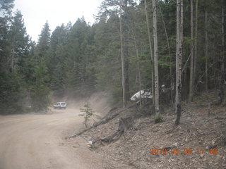 drive up Mt. Graham