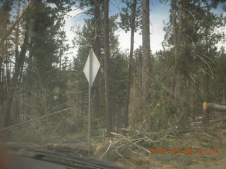 drive up Mt. Graham