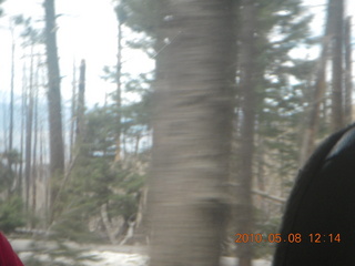 drive up Mt. Graham