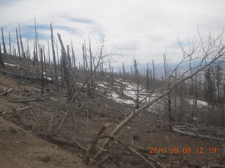 drive up Mt. Graham