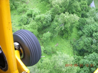 Neil's Piper Cub
