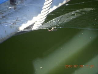 Sean and Kristina camping - spider
