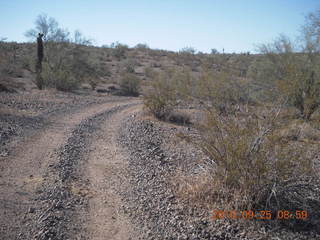 Alamo Lake run - sign for wildlife area