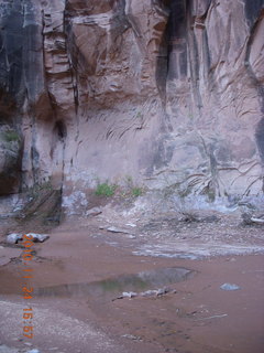 55 7dq. Moab trip - Negro Bill hike - arch