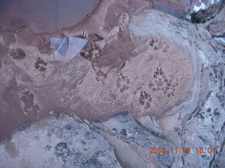 64 7dq. Moab trip - Negro Bill hike