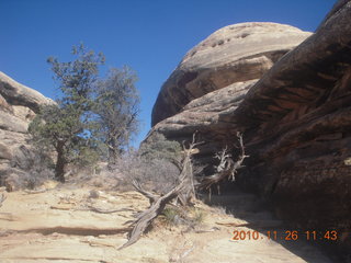 95 7ds. Moab trip - Needles - Confluence Overlook hike