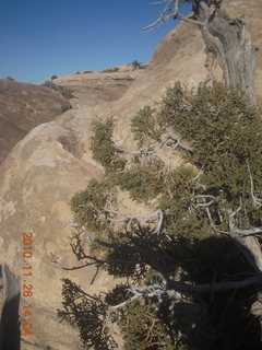 156 7ds. Moab trip - Needles - Confluence Overlook hike