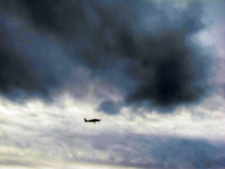 Sean picture - N8377W with engine running