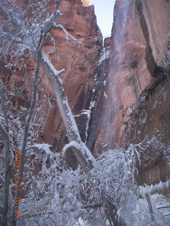 81 7ex. Zion National Park trip - Hidden Canyon hike