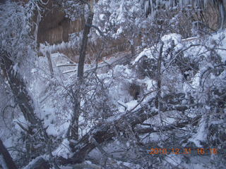 87 7ex. Zion National Park trip - Weeping Rock path