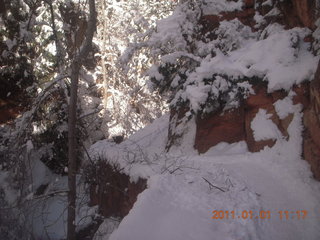 69 7f1. Zion National Park trip