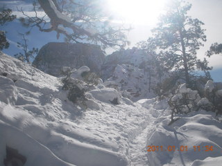 75 7f1. Zion National Park trip