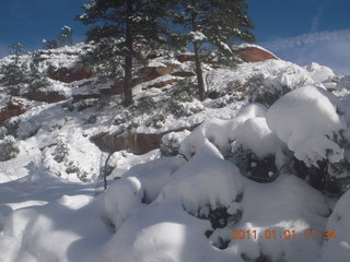 77 7f1. Zion National Park trip