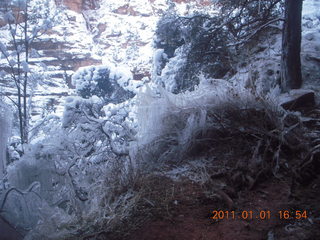 186 7f1. Zion National Park trip