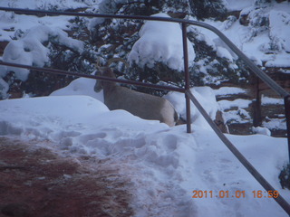 195 7f1. Zion National Park trip