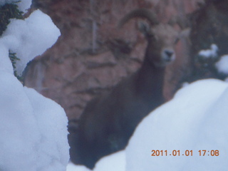 211 7f1. Zion National Park trip