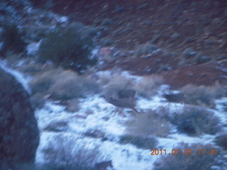 219 7f1. Zion National Park trip