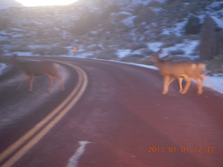 222 7f1. Zion National Park trip