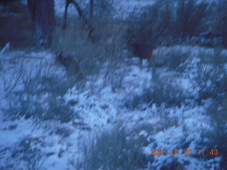 225 7f1. Zion National Park trip