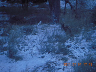 226 7f1. Zion National Park trip