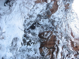 233 7f1. Zion National Park tripZion National Park trip - Sheri's pictures