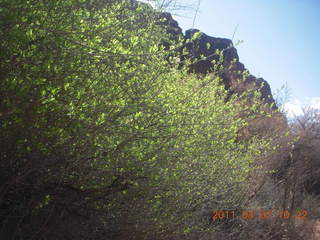 128 7j7. Canyonlands Lathrop hike/run