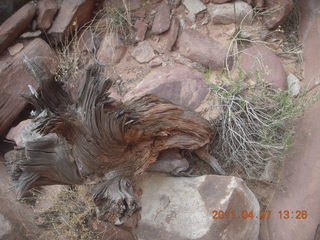 212 7j7. Canyonlands Lathrop hike/run