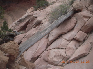 215 7j7. Canyonlands Lathrop hike/run