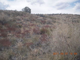 256 7j7. Canyonlands Lathrop hike/run