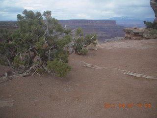 287 7j7. Canyonlands