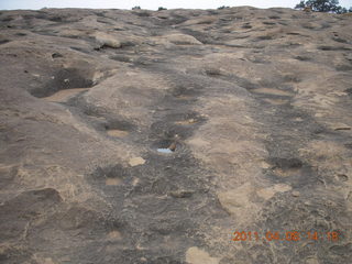 215 7j8. Canyonlands Needles Pothole Point hike