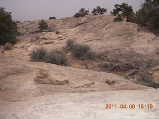 258 7j8. Canyonlands Needles Slickrock hike