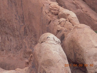 80 7j9. Arches Devil's Garden hike