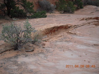 82 7j9. Arches Devil's Garden hike - rock texture