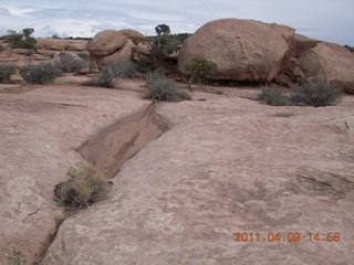 262 7j9. Dead Horse Point - Rim View