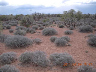 281 7j9. Dead Horse Point - Basin View hike