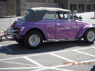 Doug's Buggs and Bunnies - cool VW beetle
