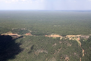 Sean's pictures - aerial