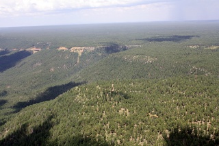 Sean's pictures - aerial