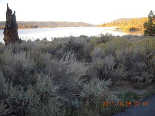 42 7q8. Big Bear (L35) run