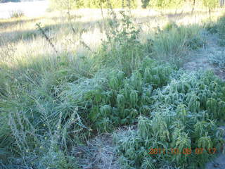 54 7q8. Big Bear (L35) run - frost