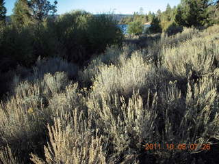 57 7q8. Big Bear (L35) run